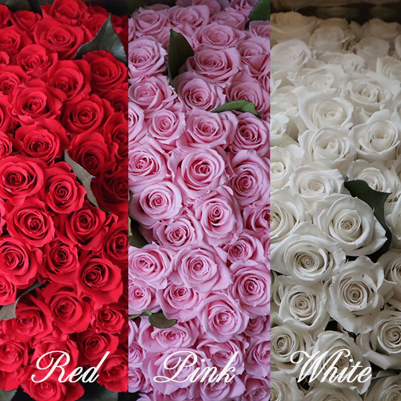 108本のバラの花束で永遠を誓う プロポーズ ｜White | プリザーブド