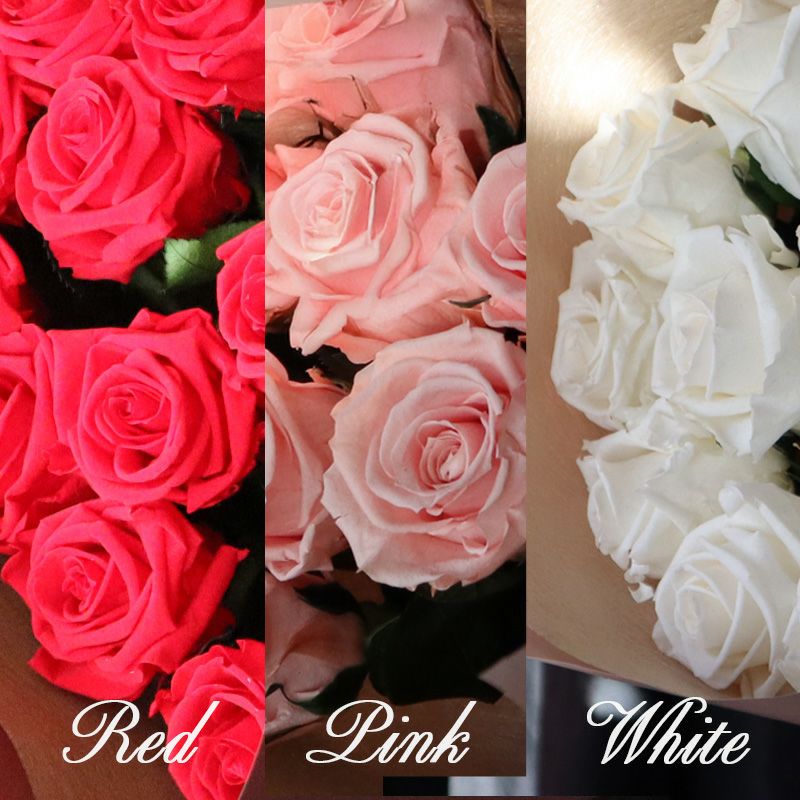 000000000069-04.jpg?size=l&w=